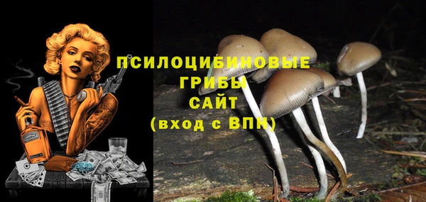 ALPHA-PVP Касимов