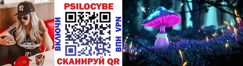 Псилоцибиновые грибы Cubensis  Купить где  Елизово 