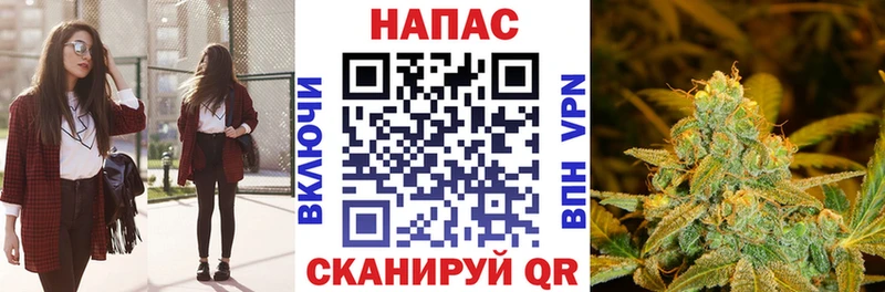Купить где  Елизово  Бошки Шишки Amnesia 